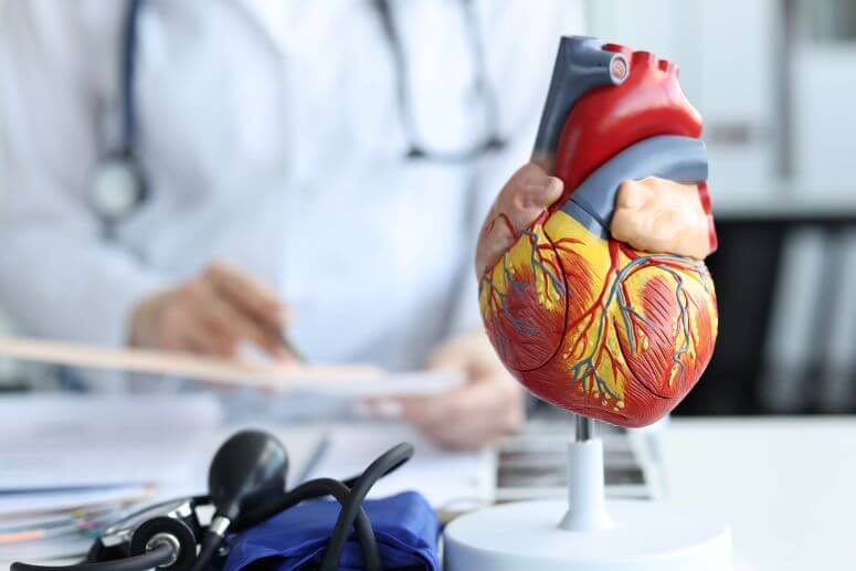 Differences Between Vascular Surgeons and Cardiac Surgeons